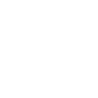 Surveyor Nusantara Indospasial